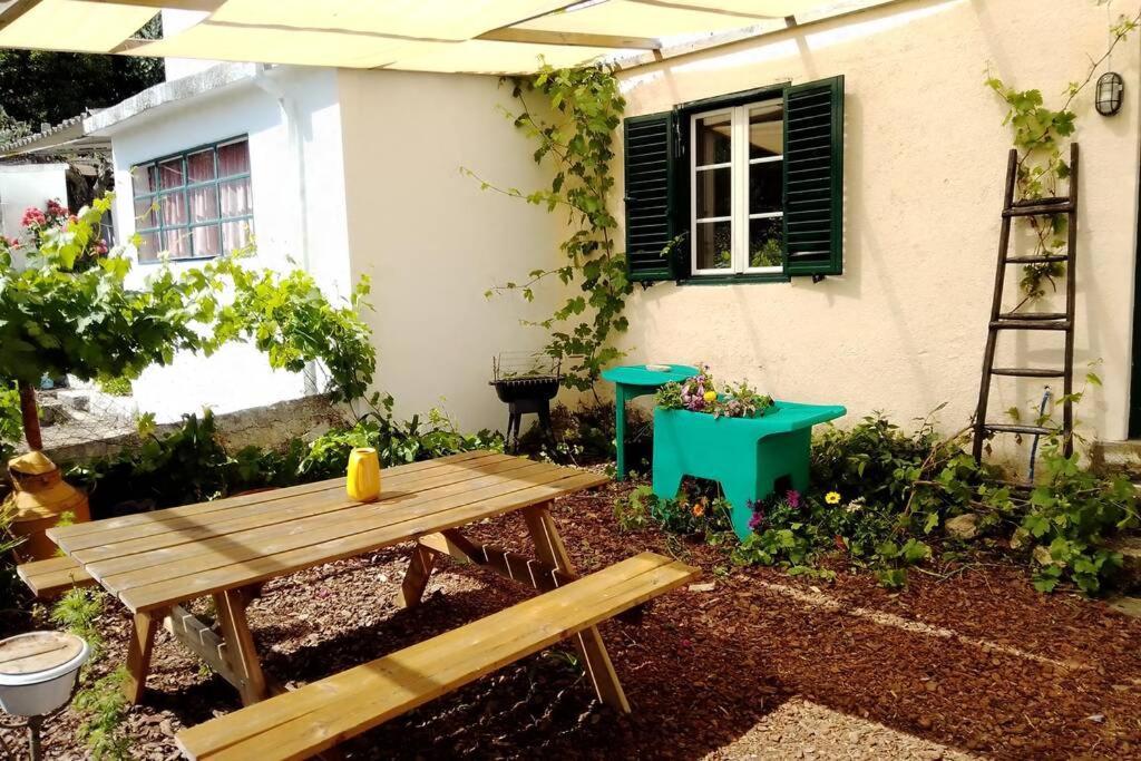 Villa Petal House Beirã Exterior foto